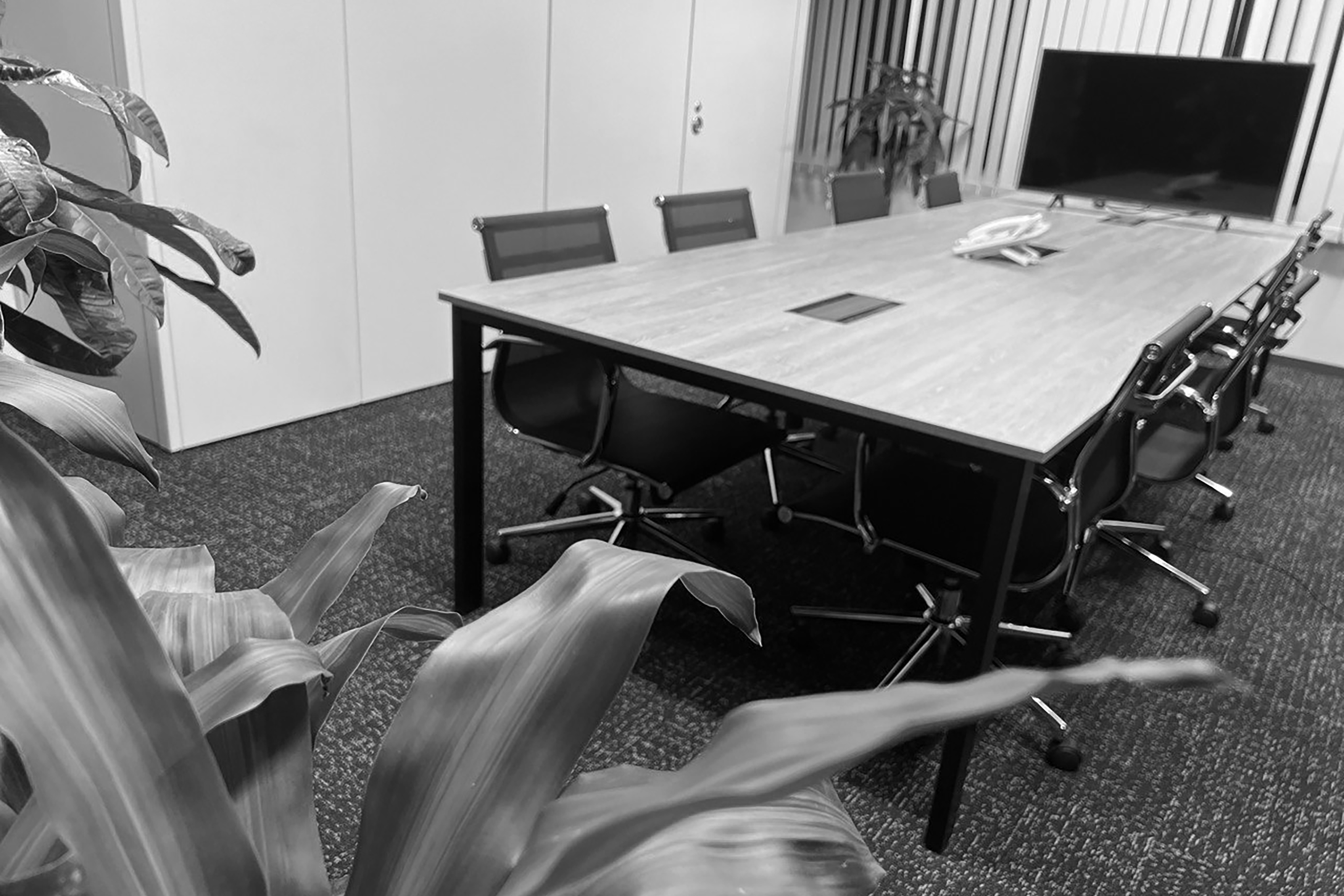 株式会社REgoのオフィス内の会議室の写真